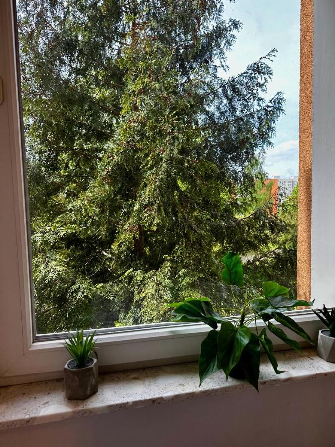 Apartament #7 Uroczy pokój niedaleko morza w Gdańsku ! Zewnętrze zdjęcie